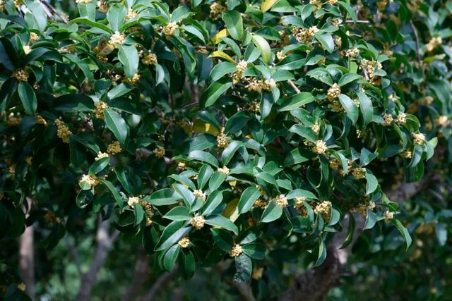 这声“对不起”，泰州人等了半个月！