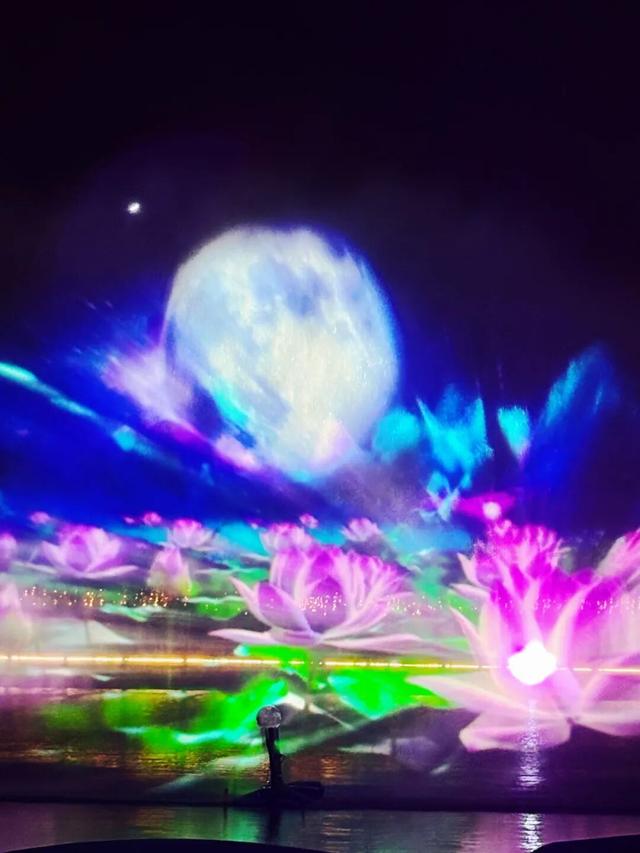 奇迹花园开启“奶龙的花花世界”，今秋的郊野公园变样了！
