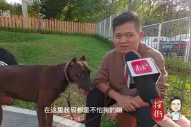 丹哥探街︱龙岗萌宠乐园来了，你会带“毛孩子”来打卡吗？图片