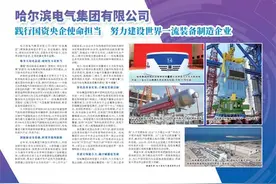 哈尔滨电气集团有限公司 践行国资央企使命担当  努力建设世界一流装备制造企业图片