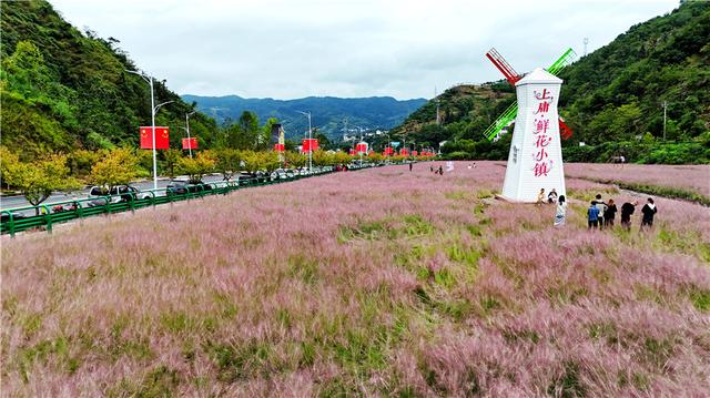 湖北竹山以花海颜值提升花样价值
