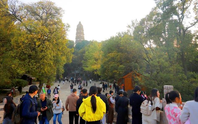 江苏苏州：虎丘景区色彩斑斓