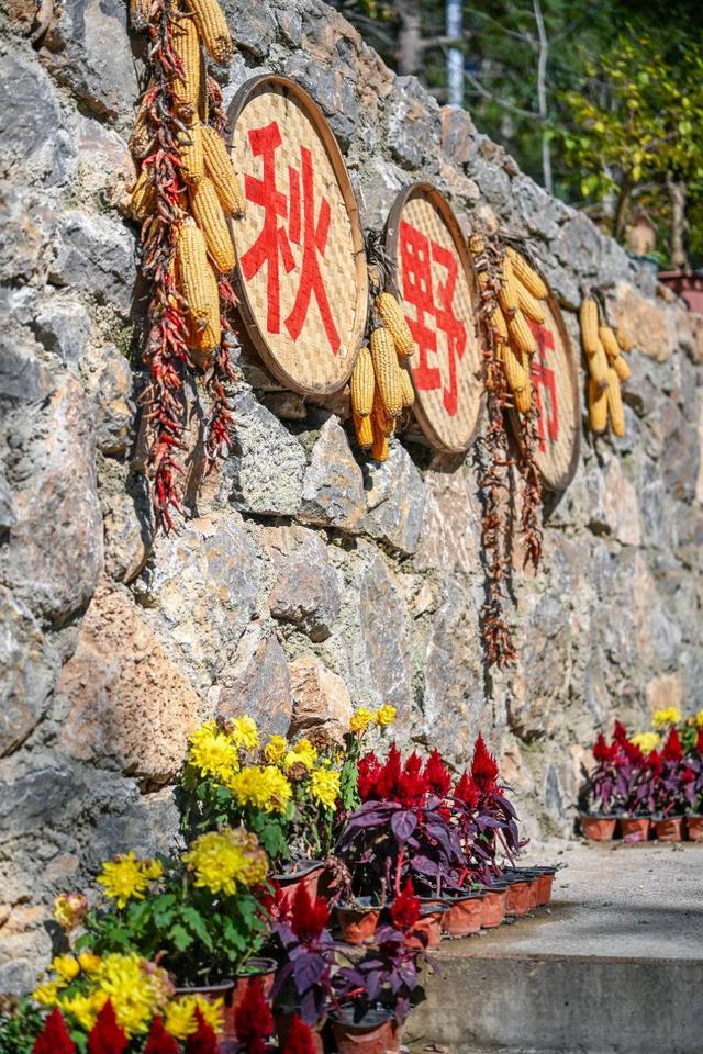 壹点号·秀山东|济南这座古寨藏了最浓的齐鲁秋色