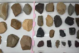 穿雨林下深海，这里的文物普查不一般图片