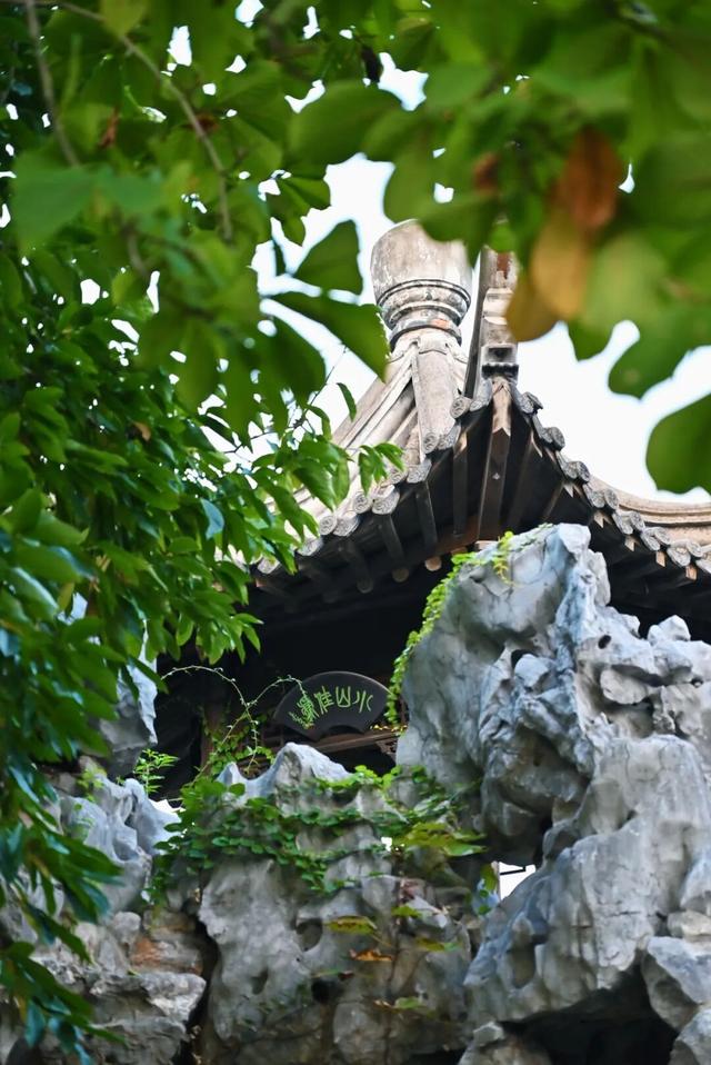 欢迎走进愚园的假山秘境→