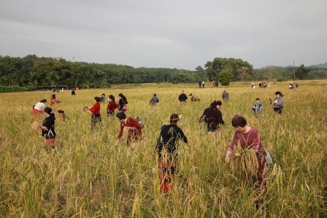 2025年白沙“啦奥门”雨林与您山兰文化活动启幕