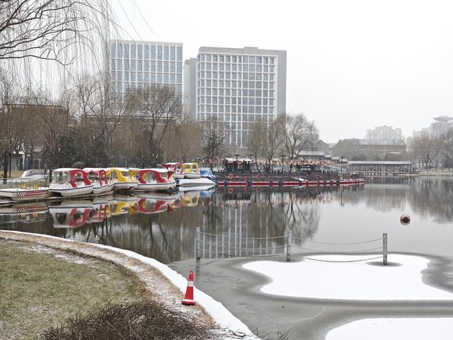 京城初雪如约而至！雪落无声，人游有影