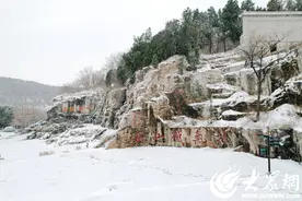组图丨银蝶飘舞 梁山县水泊梁山风景区迎瑞雪图片