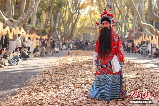 东南大学最美200米落叶景观华丽“上线”