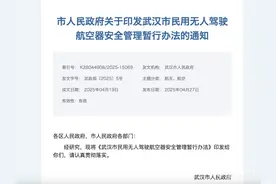 无人机怎么飞？武汉公安发布管理办法解读图片