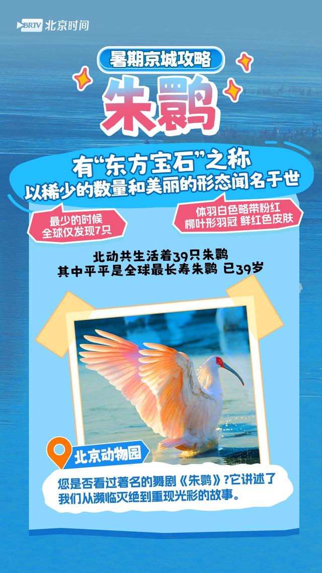 周末怎么过？和北京的“网红动物”一起过！