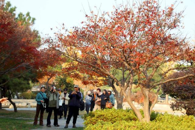 江苏苏州：桐泾公园斑斓冬景引客来