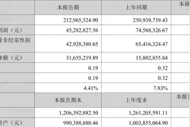 思进智能：2023年上半年净利润4528.28万元 同比下降39.27%图片