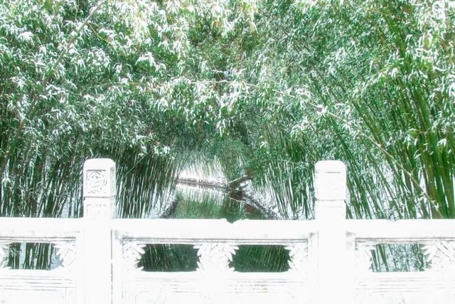 北京全城等雪来！故宫约不上？这些地方随手一拍也是大片——