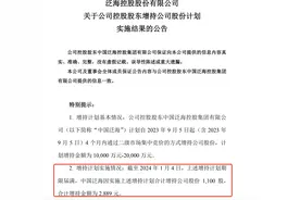 计划增持不低于1亿元，最终只买了2889元，实控人是泛海系卢志强图片