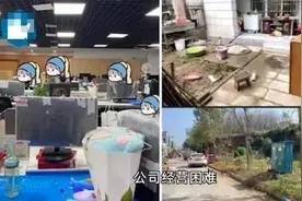 为逼员工辞职公司居然搬进秦岭，“聪明劲”用错了地方图片