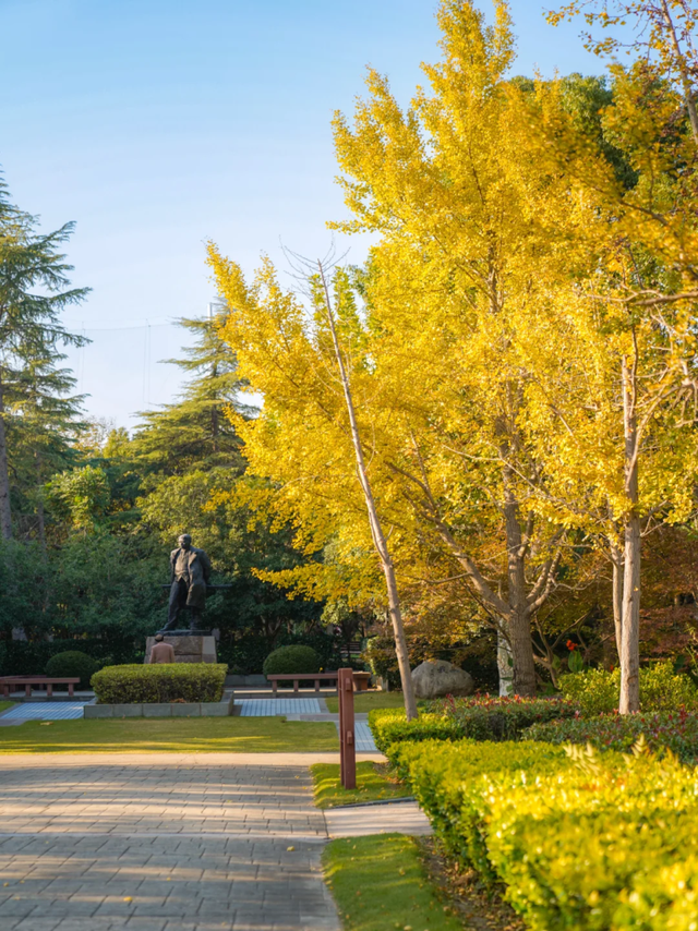 地铁直达！上海这个免费公园化身金色世界→