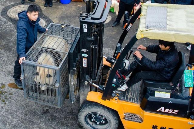 中国大熊猫保护研究中心绵阳基地投入试运行