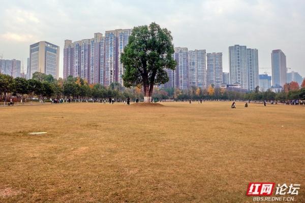 圭塘河生态公园：时光漫过木栈道，城与自然撞满怀