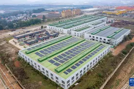 云南：甘蔗渣“变身”环保餐具图片