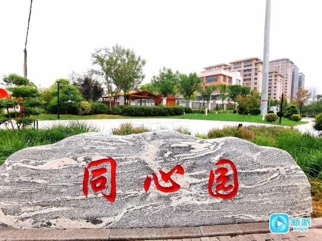 遛娃健身学知识！潍坊这个口袋公园太全能