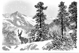 天下澡雪长白山图片