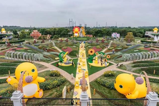 430000㎡秋日花海绚烂绽放！还有超萌顶流IP空降→