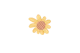 画笔下的师恩 | 绘出我最爱的老师图片