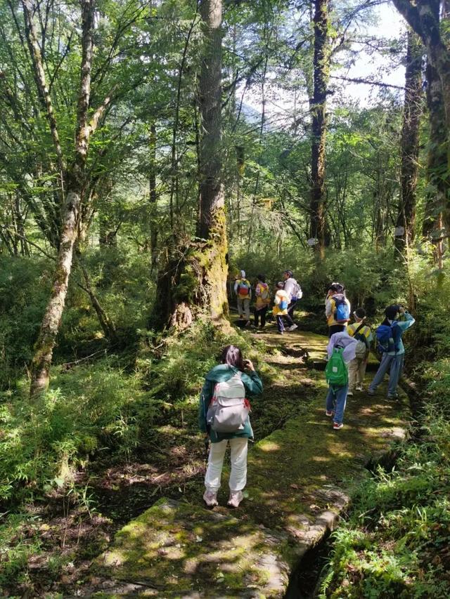 要放春假了！免门票景区先码住，假期一到就出发！