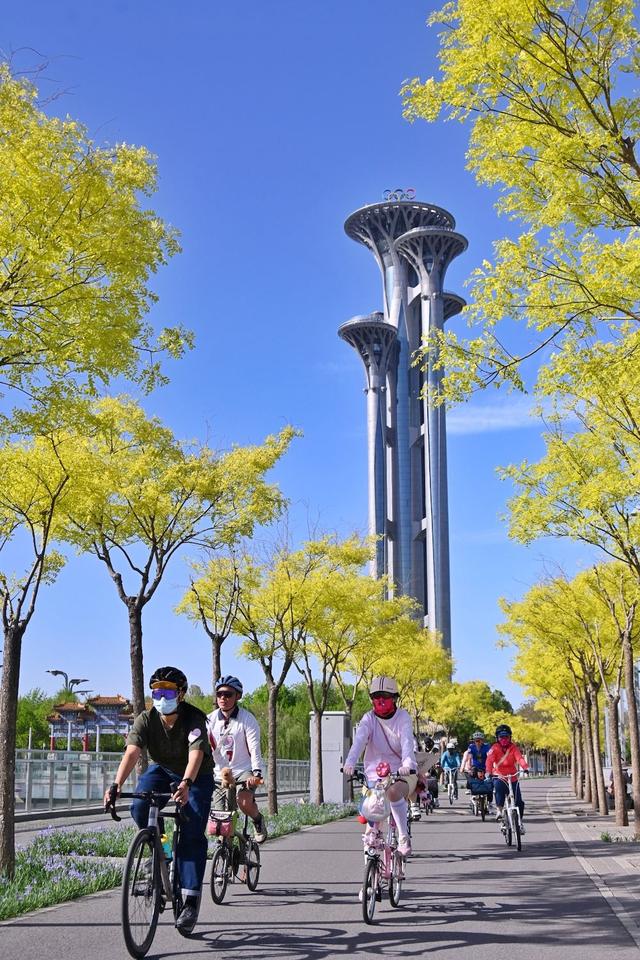 倍儿好看！大美北京，夏日绽放