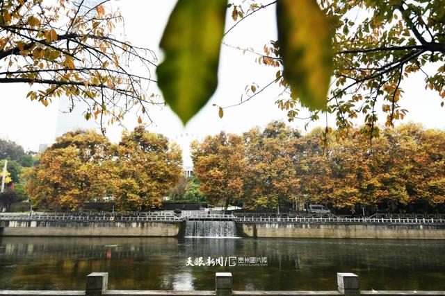 图库推荐丨贵阳：初冬时节好风景