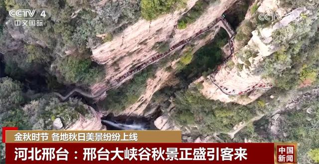 金秋时节各地美景纷纷“上线” 多元业态拓展“秋日经济”新空间