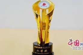 中铁一局：BIM技术应用成果斩获国内四项大奖图片