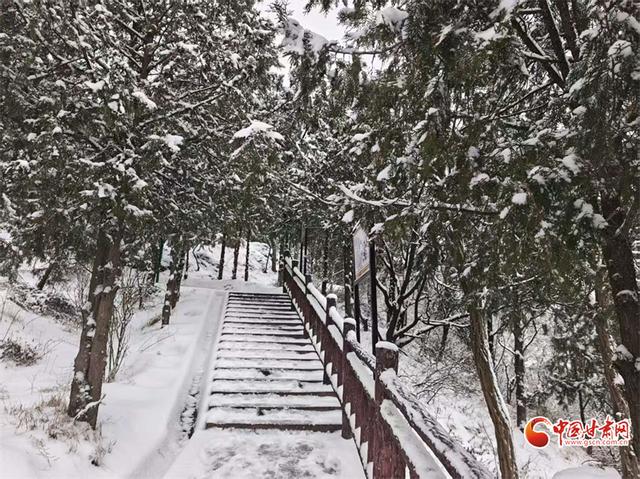 陇拍客丨甘谷：一雪覆青山 天门入画来