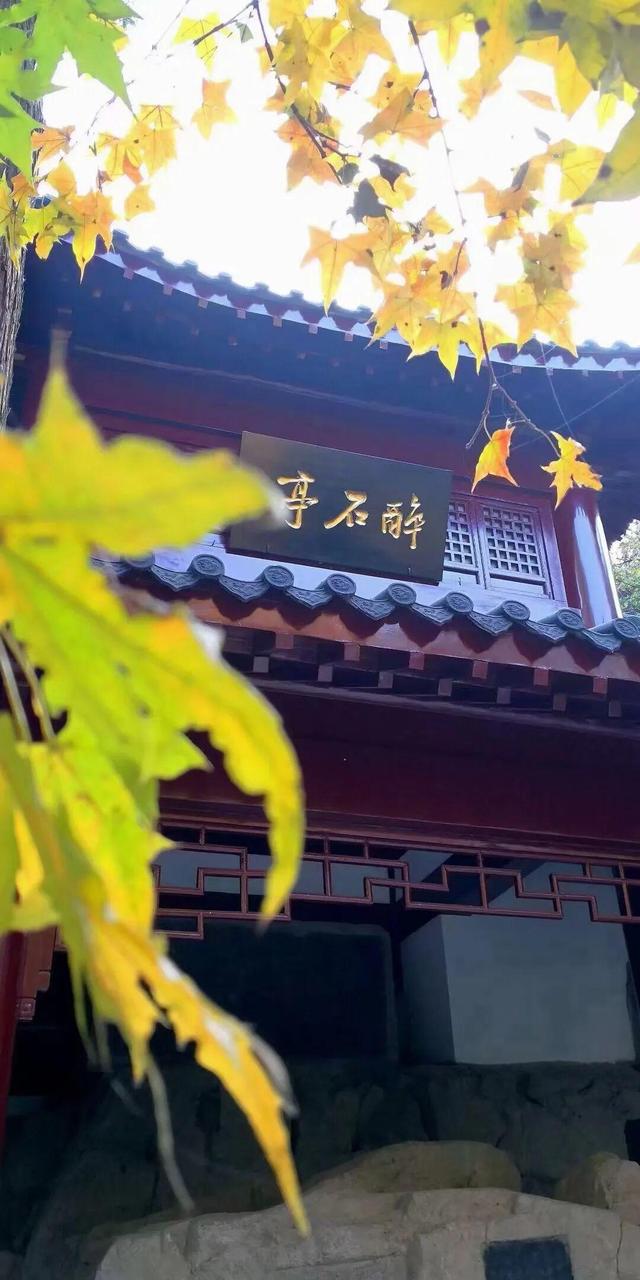 佳文悦览 | 变单一林相为多彩画卷 生态修复促进云龙湖景观品质提升