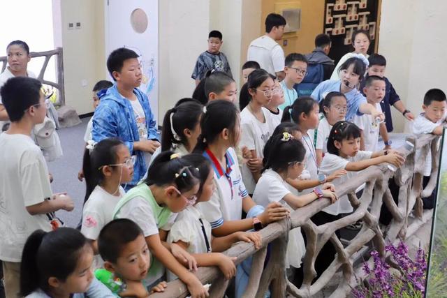 研学新体验：观鸟＋编鸟窝＋拿证书，三重收获！
