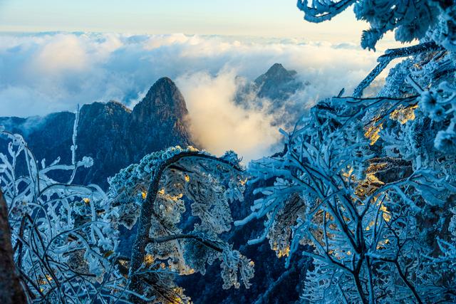 第1现场｜黄山入冬：雾凇云海日出 “三景同框”