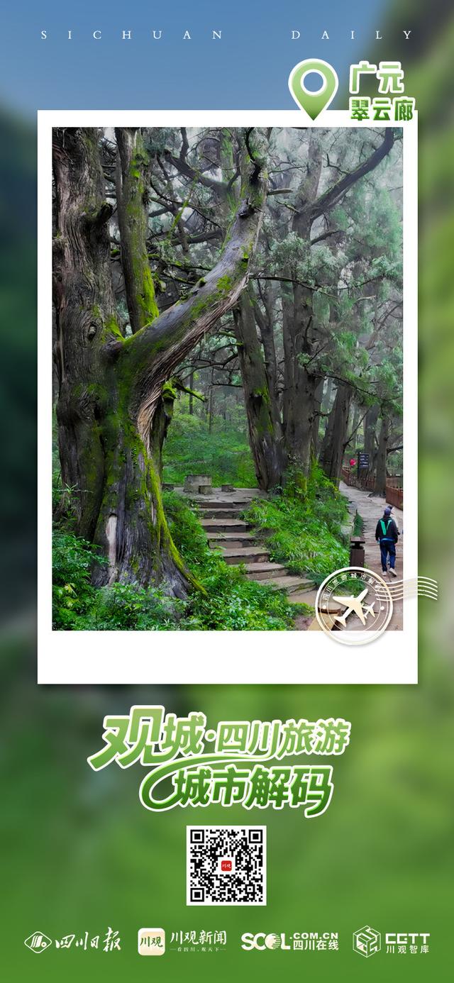 蜀道风景这边独好！一组明信片把广元寄给你丨四川旅游城市明信片