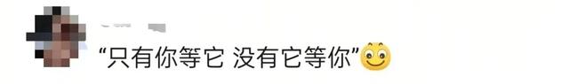 “爬山爬一半，我妈从包里掏出了个西瓜……”