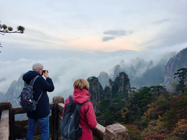 出片率100%！黄山风景区进入最佳赏秋期