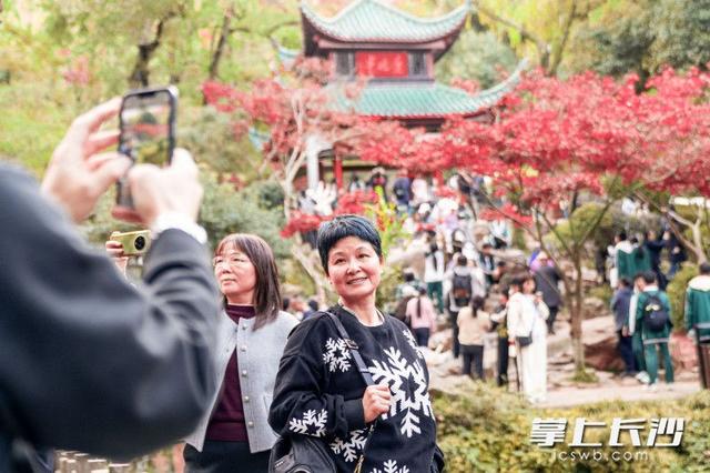 爱晚亭枫叶进入全盛期！游客沉醉“枫”景丨组图