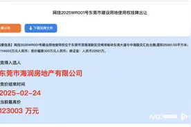 东莞土拍“开门红”！华润置地拿下滨海湾新区住宅用地图片