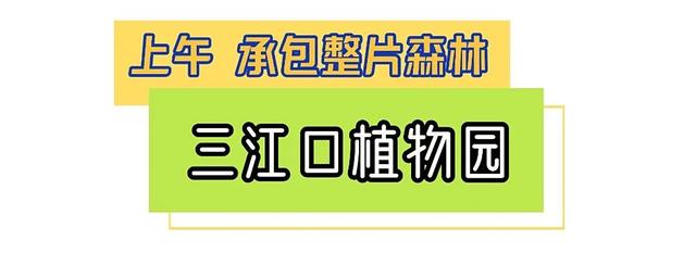 一起“森”呼吸！假期在福州开启绿野仙踪副本