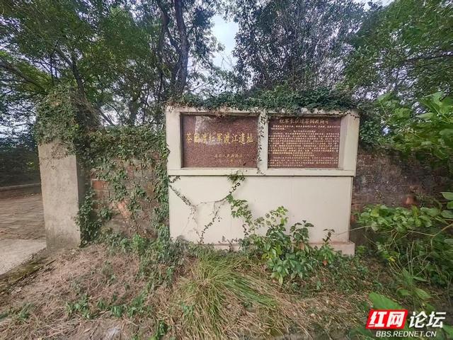 岁暖时刻丨秋访茶源渡：一段隐藏在山水间的峥嵘岁月