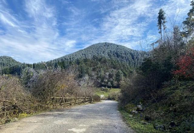 区县头条｜看！武陵山现冰挂美景