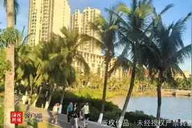 媒体关注 | 海南如何建设“清凉城市”？专家分析→图片
