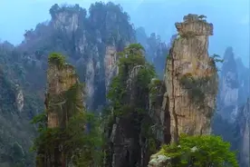 这一站中国②|韩国银发团在张家界的"孝心之旅"视频封面