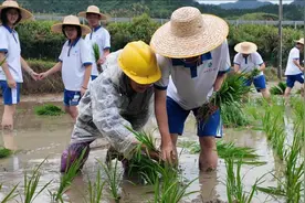 中学生下乡研学5天，在实践中拓宽视野锻炼能力图片