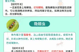 端午外出游玩 这份防虫叮咬攻略请收好图片