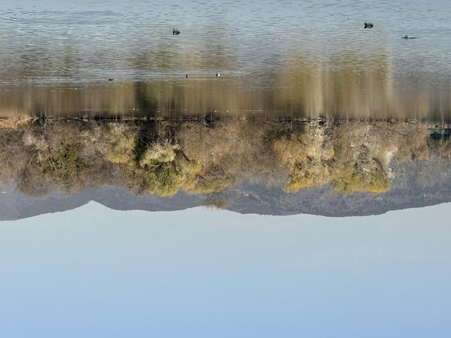 小雪宜出游，颐和园里游人赏初冬美景